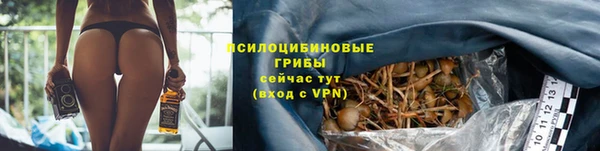 a pvp Алексин