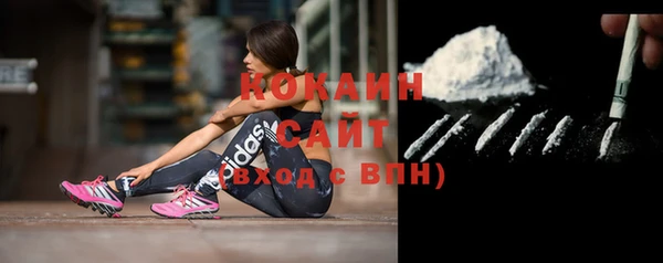 индика Алзамай