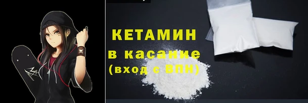 индика Алзамай