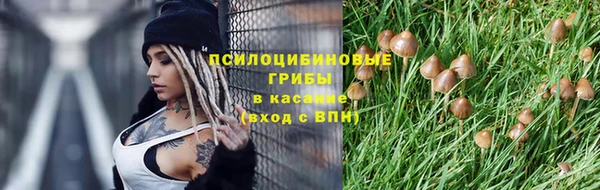 a pvp Алексин