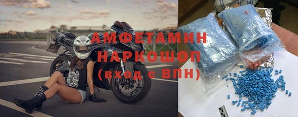 трава Карпинск