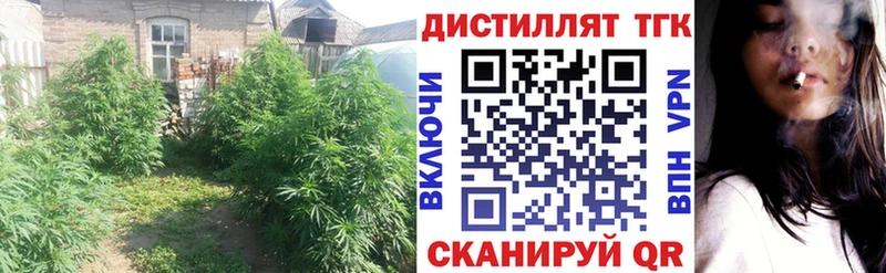blacksprut зеркало  Прохладный  ТГК вейп с тгк 